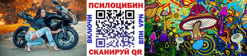 Купить закладки Новочебоксарск Псилоцибиновые грибы Psilocybine cubensis